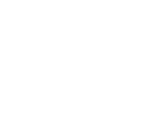 PestDeal Plus ikoni iso